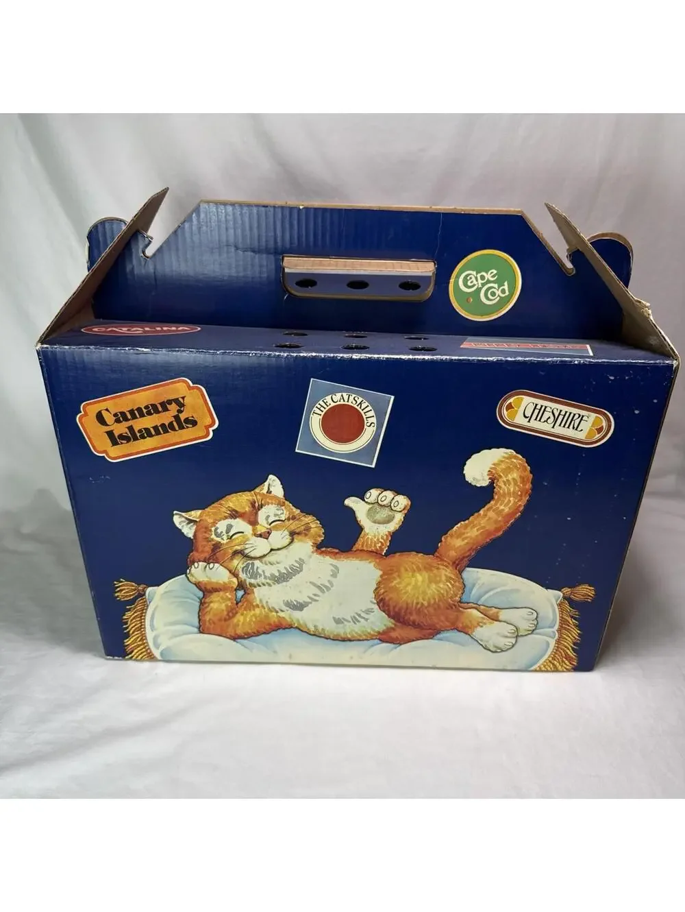 vintage Cosmic Cat Shuttle cardboard carrier Pet Transporter Friskies Retro RARE